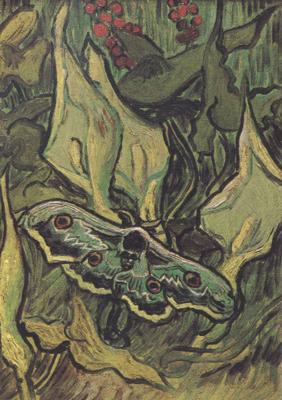 Vincent Van Gogh Death's-Head Moth (nn04) oil painting image